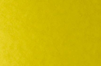 Tints 20521